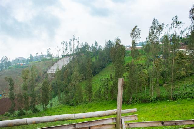 Oyo 2169 Anugrah Bromo Homestay
