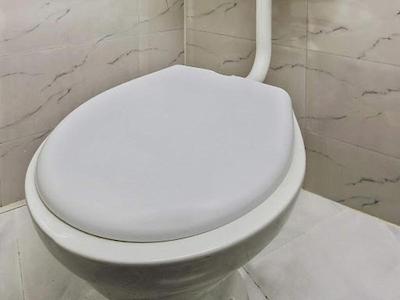 Oyo 2877 Hotel Narayana Palace