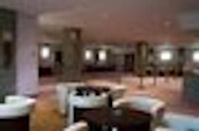 هالیدی این مسکاو-وینوگرادو