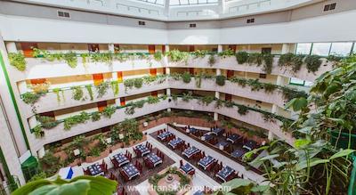 هالیدی این مسکاو-وینوگرادو