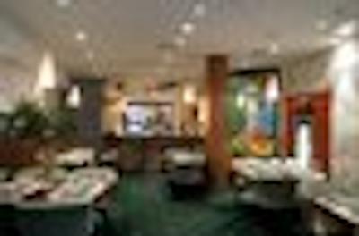 هالیدی این مسکاو-وینوگرادو