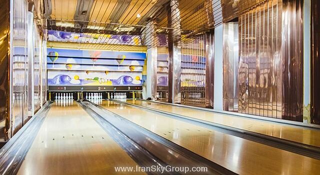 هالیدی این مسکاو-وینوگرادو