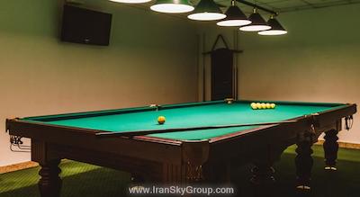 هالیدی این مسکاو-وینوگرادو