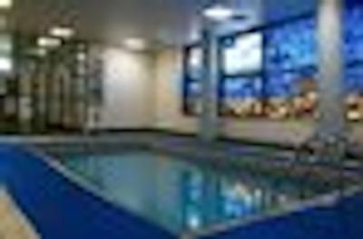 هالیدی این مسکاو-وینوگرادو