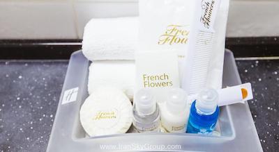 هالیدی این مسکاو-وینوگرادو