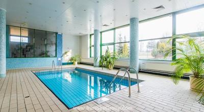 هالیدی این مسکاو-وینوگرادو