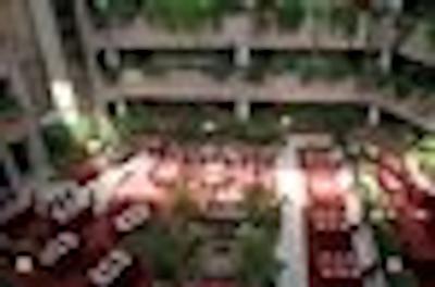 هالیدی این مسکاو-وینوگرادو