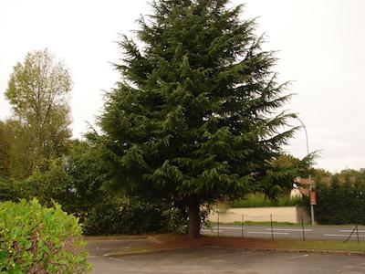 Budget Hotel Melun A Dammarie Les Lys