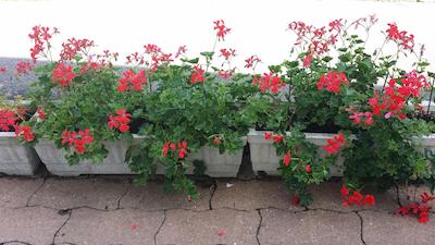 Budget Hotel Melun A Dammarie Les Lys