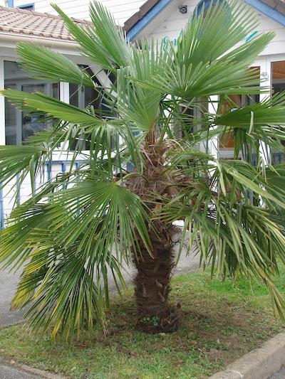 Budget Hotel Melun A Dammarie Les Lys