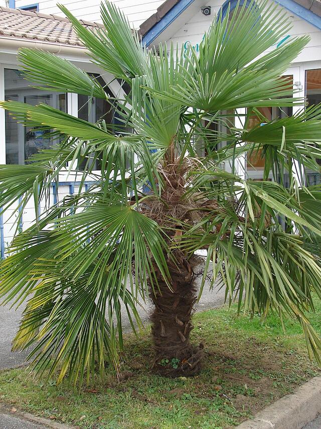 Budget Hotel Melun A Dammarie Les Lys