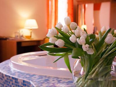 ماکسیما آیربیس