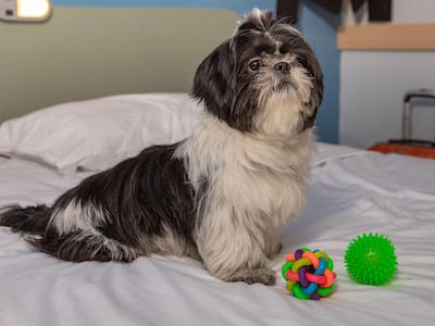 Ibis Budget Sp Frei Caneca