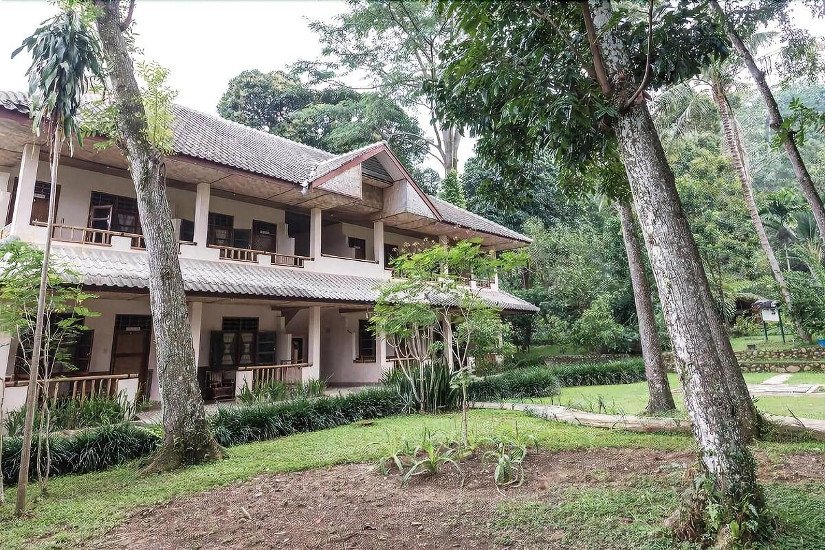Ecolodge Bukit Lawang