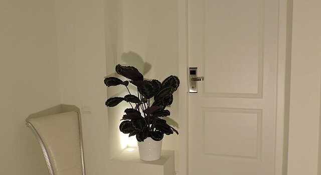 Anfiteatro Suite