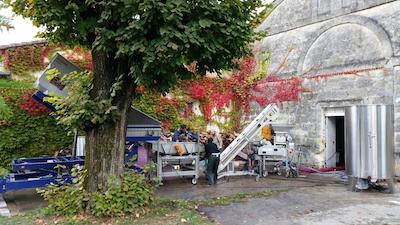 Cha Teau Fleur De Roques
