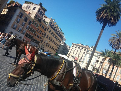 PIAZZA DI SPAGNA SUITE DE CHARME