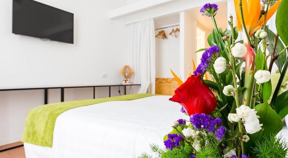 Cancelleria Comfort Inn