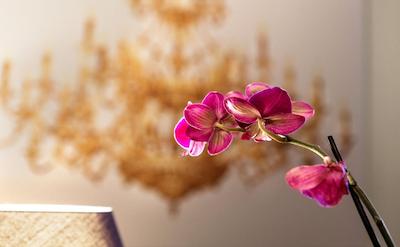 Giuturna Boutique Hotel