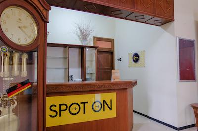 Spot On 1767 Villa Anggur Panderman