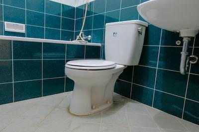 Spot On 1767 Villa Anggur Panderman