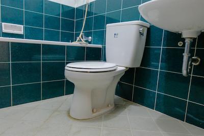 Spot On 1767 Villa Anggur Panderman