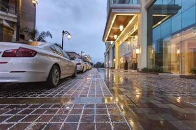 رویال تولیپ ناوی مومبای