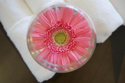 رویال تولیپ ناوی مومبای