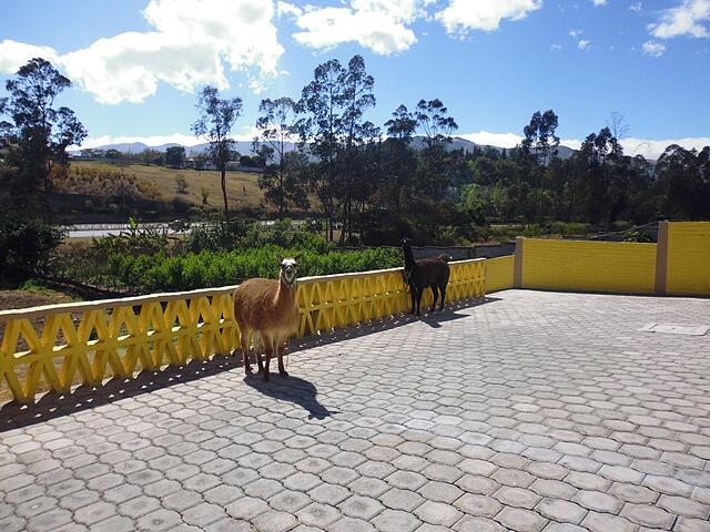 Hotel Residencial El Viajero