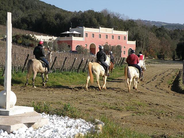 TENUTA IL SASSONE