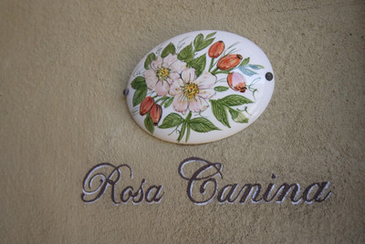TENUTA IL SASSONE