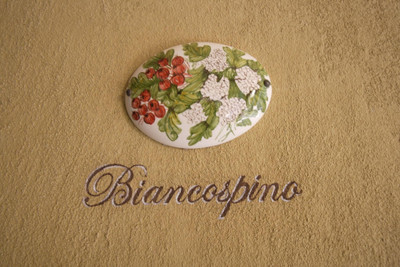 TENUTA IL SASSONE
