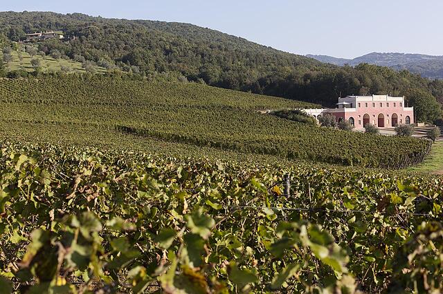 TENUTA IL SASSONE