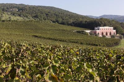 TENUTA IL SASSONE
