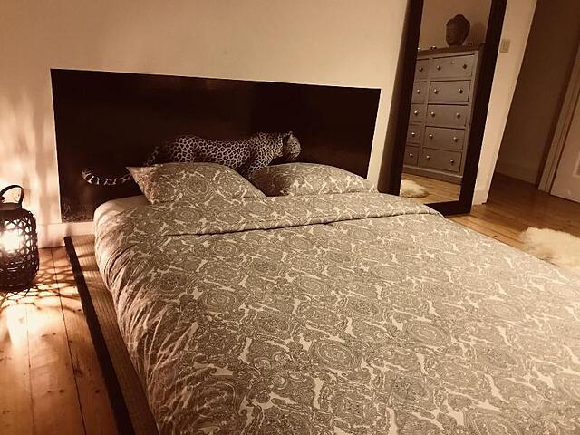 Chic Cocoon