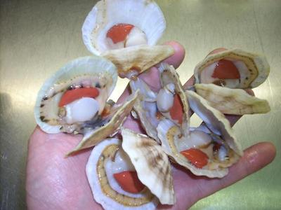 Locanda ai Campi Di Marcello