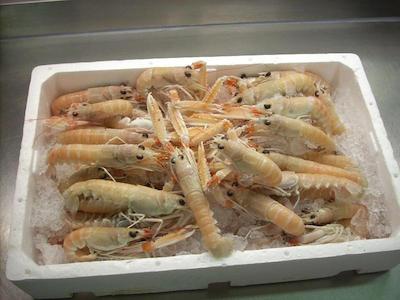 Locanda ai Campi Di Marcello