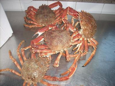 Locanda ai Campi Di Marcello