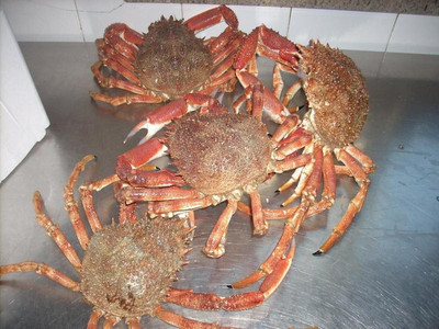 Locanda ai Campi Di Marcello