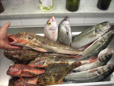 Locanda ai Campi Di Marcello