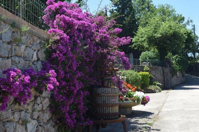 B B Il Grappolo