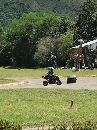 Hotel Paraiso Estudio