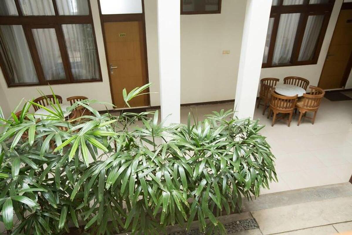 Marciella Hotel