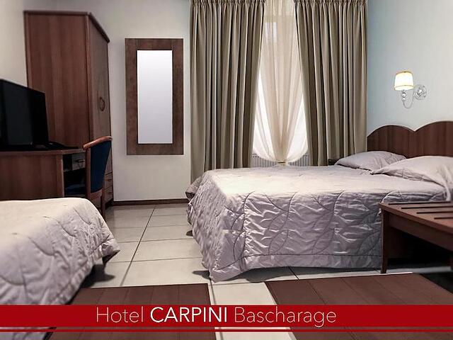 CARPINI