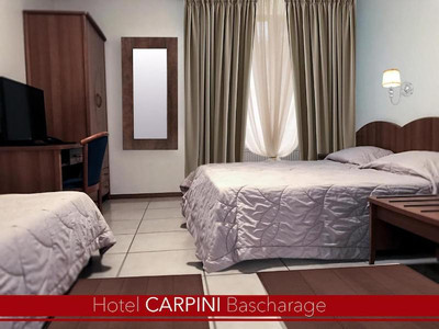 CARPINI