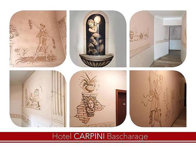 CARPINI