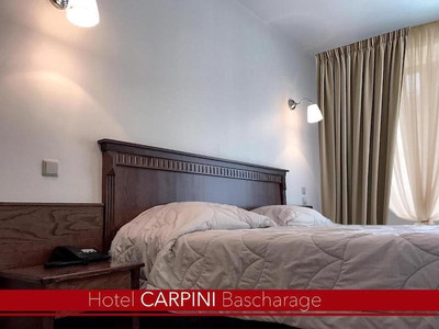 CARPINI