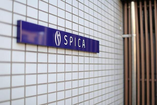 HOSTEL SPICA