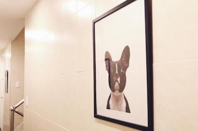 SEOUL DALBIT DDP GUESTHOUSE