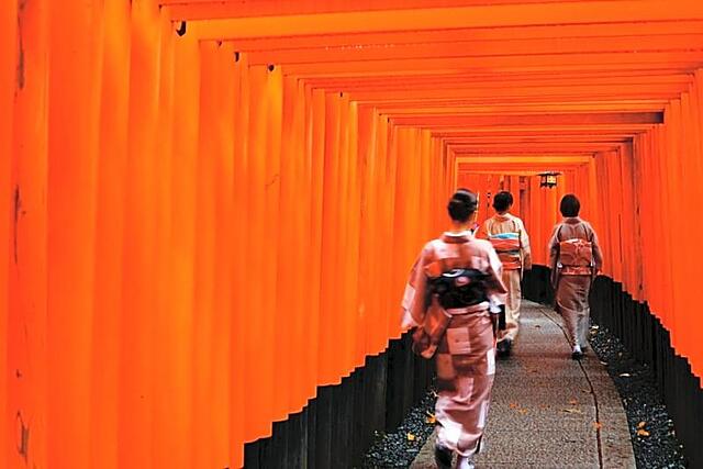 Gentle Fox Kyoto